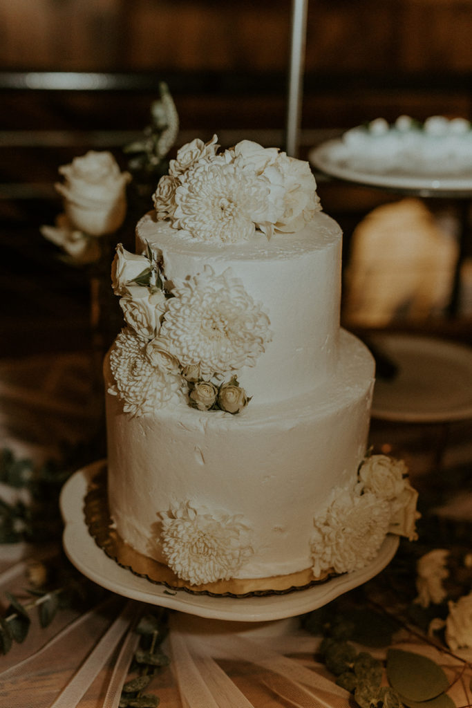 Two-tier minimalist wedding cake served at reception, shot by McKenna Christine Photography