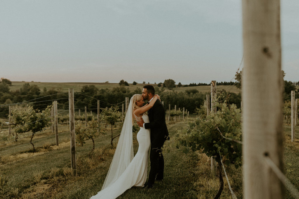 Groom planting a kiss on bride's forehead in vineyard, captured by McKenna Christine Photography